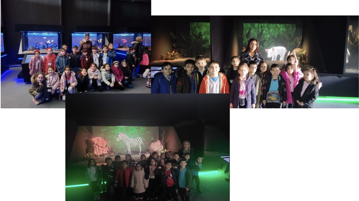 Okulumuz 1/A, 1/C ve 2/F Sınıfı Öğrencileri  Dijital Hayvanat Bahçesini Ziyaret Ettiler
